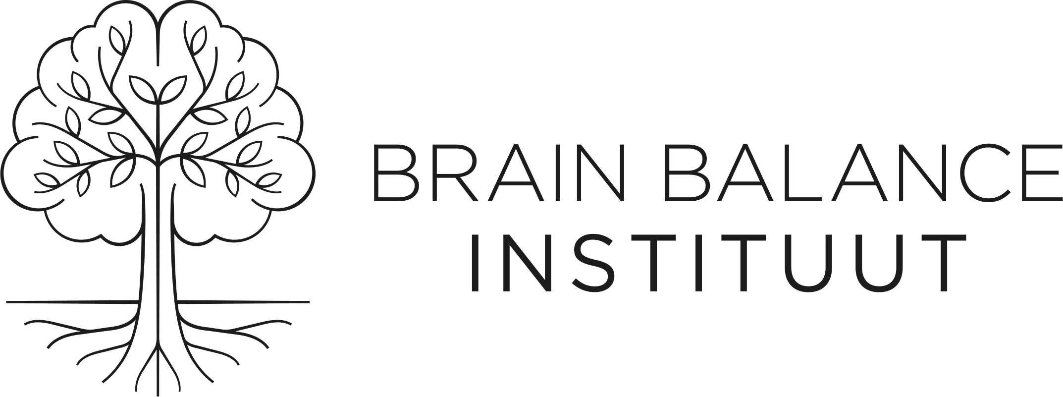 BrainBalance Instituut